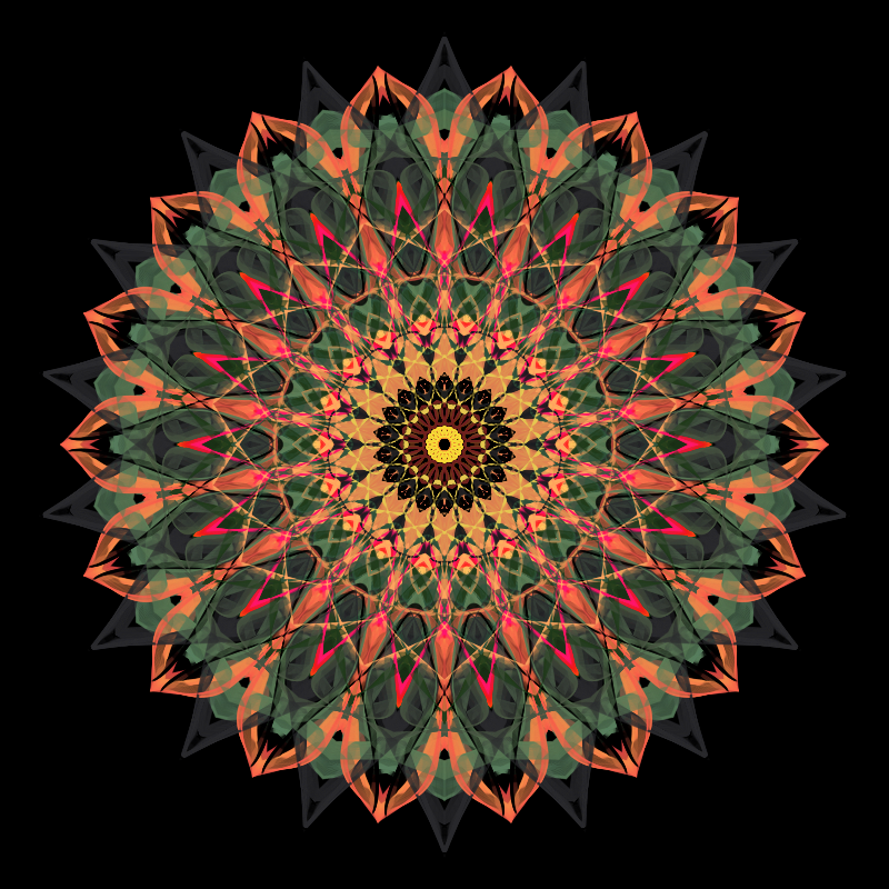 Morphing Mandala - #fxhashturnsone charity #75