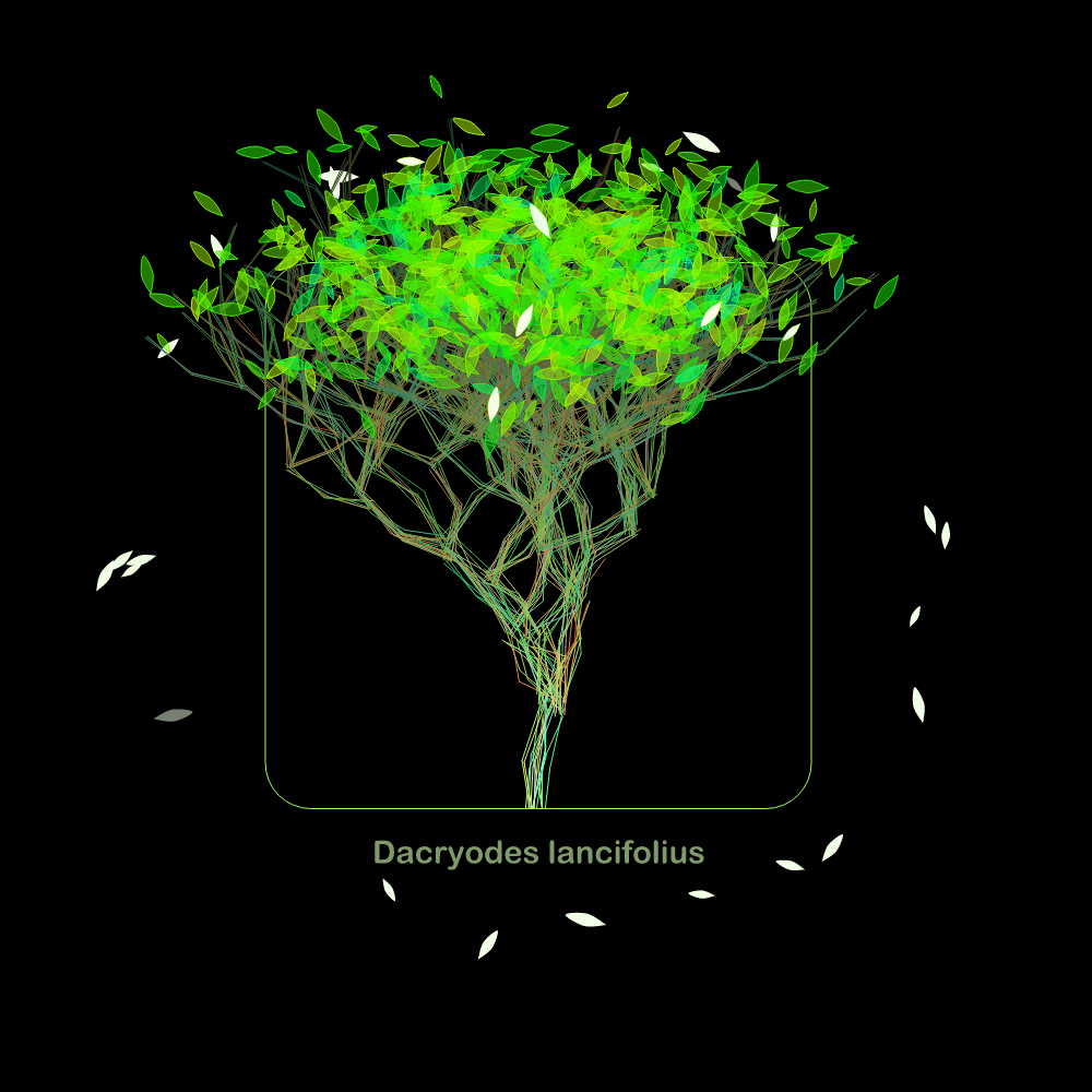 Fluidynamix - Trees #95