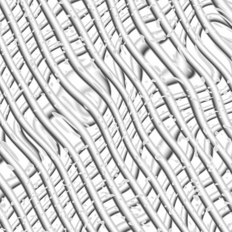 Nucleotide Polymorphism #55