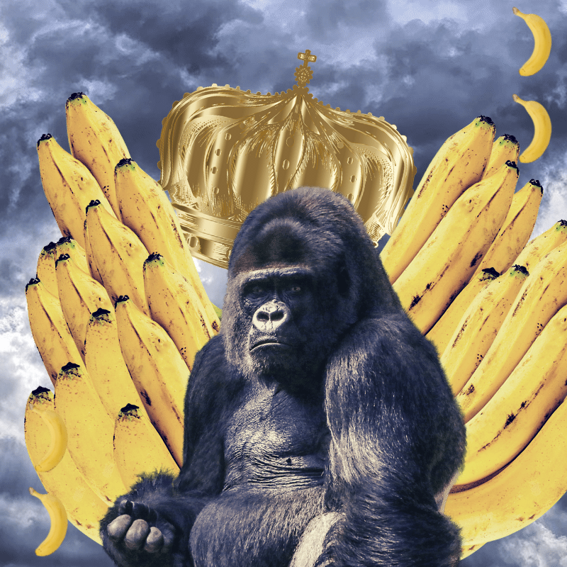 Banana gods #23