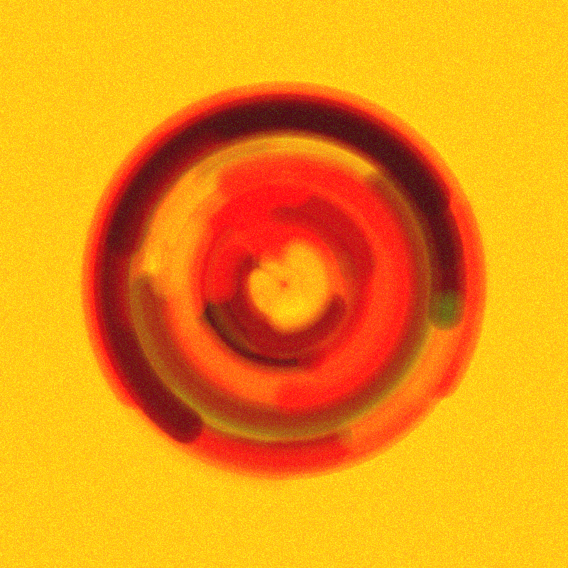 Wisp #943