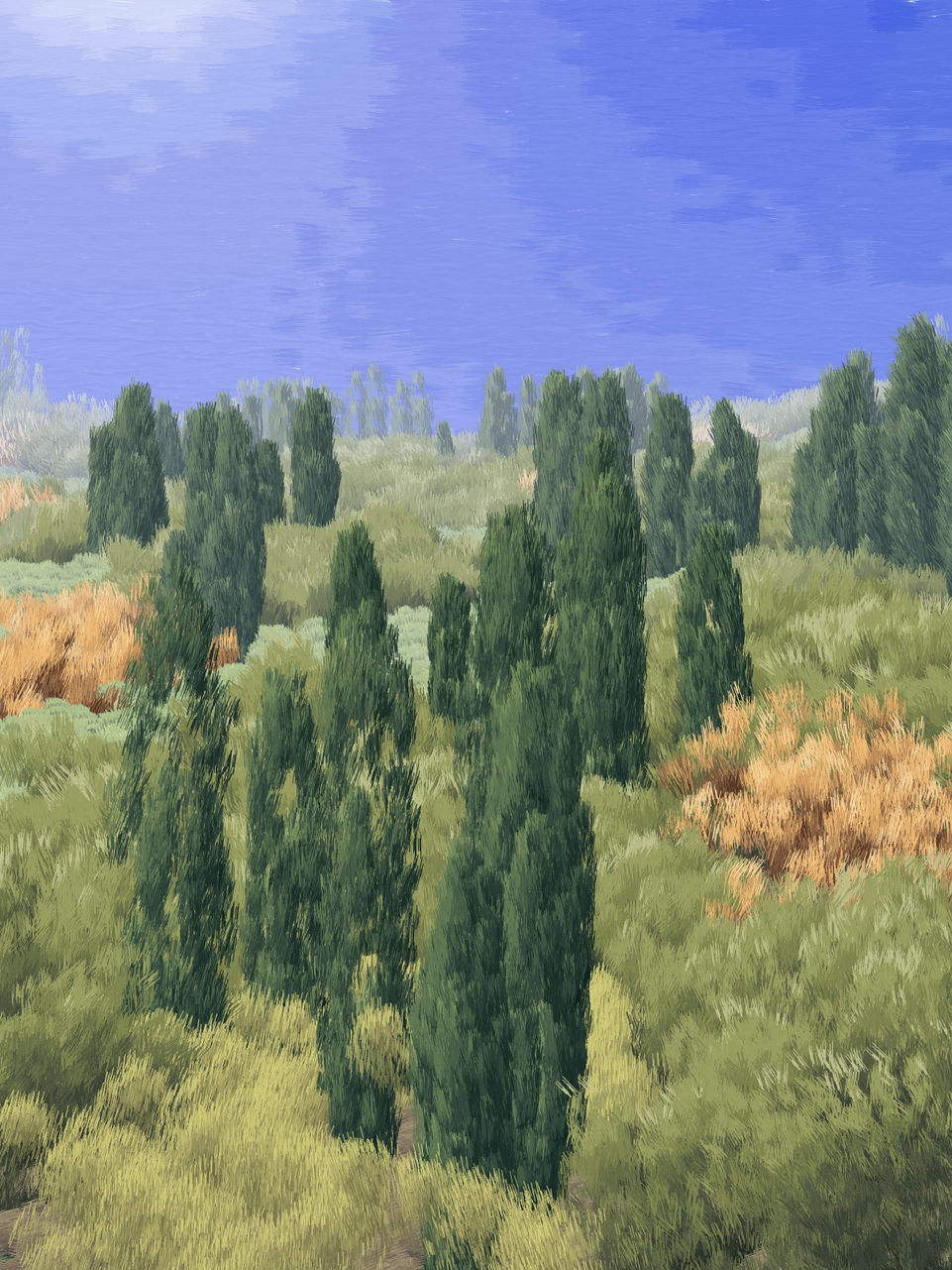 Provence #22