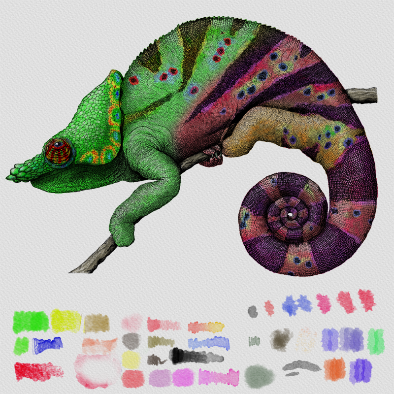 Colorful Cameleon #9