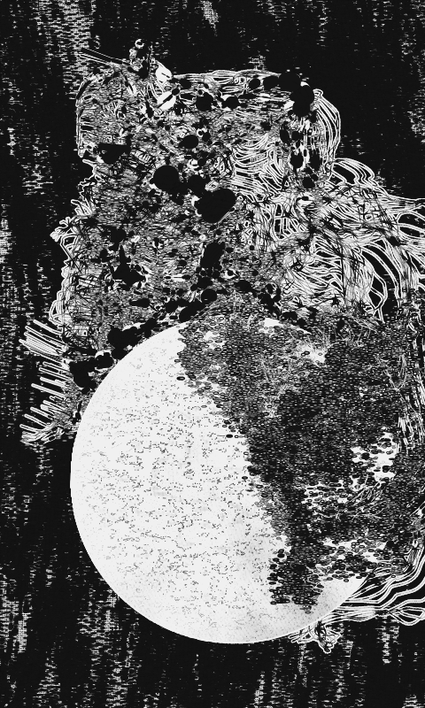 Angel's Egg #152