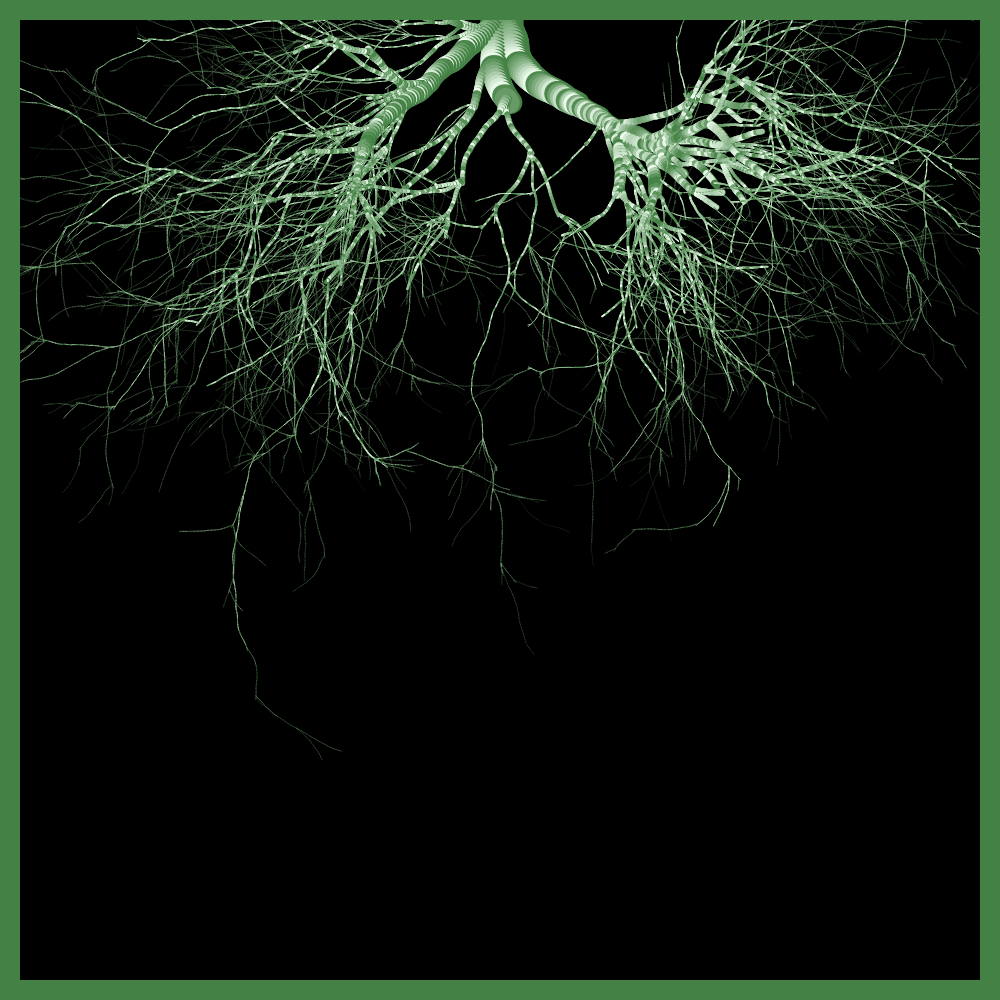 Arbres suspendus #65