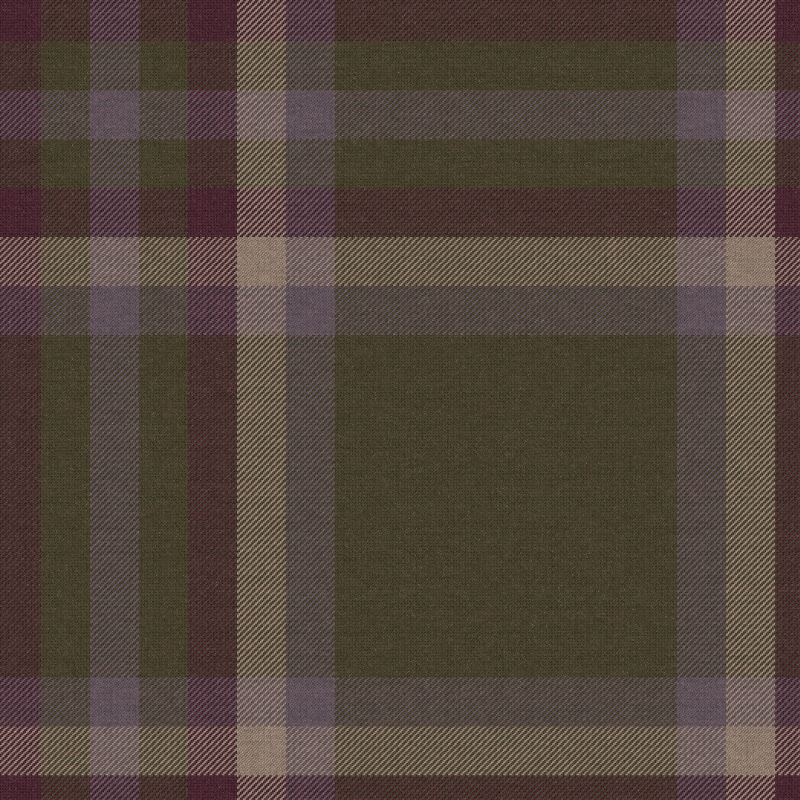 Tartan Cloth #23