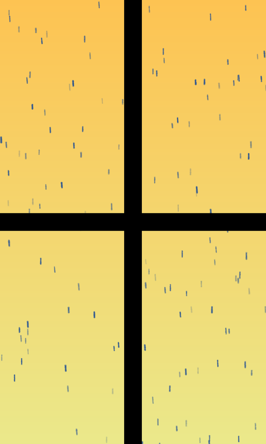 Outside your Window #52