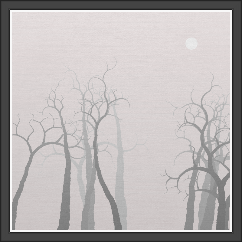 The Foggy Trees #127