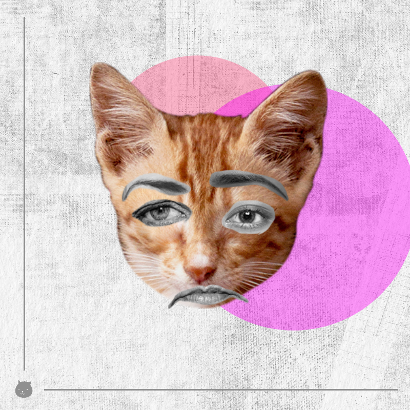 Kittenstein #9
