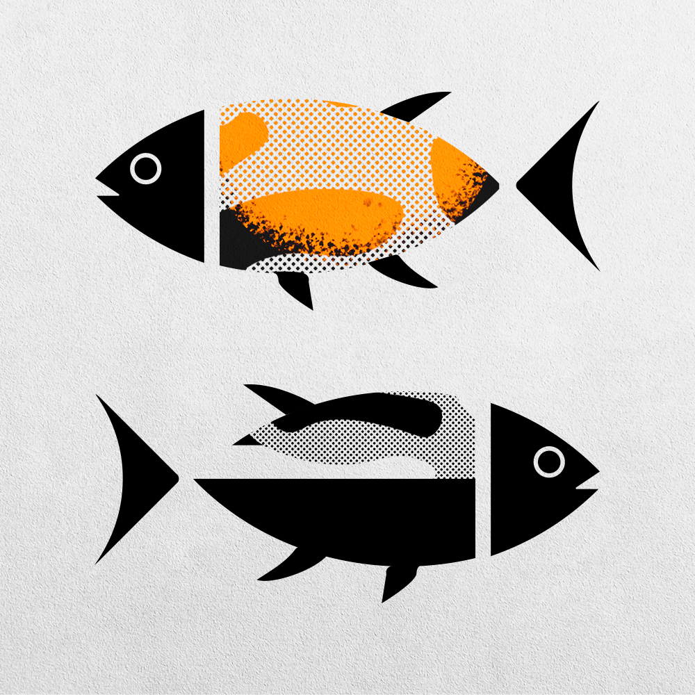 Fish Abstraction #11