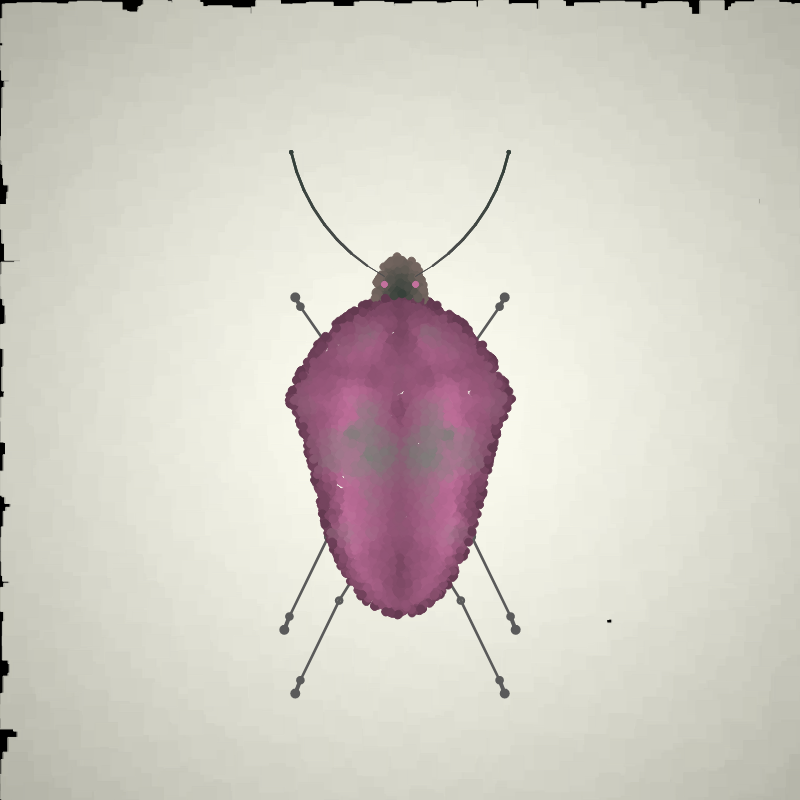 Beetle Sketches #28