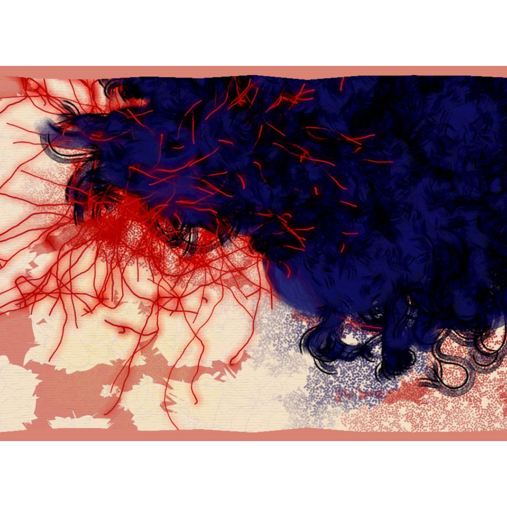 Bravata #40