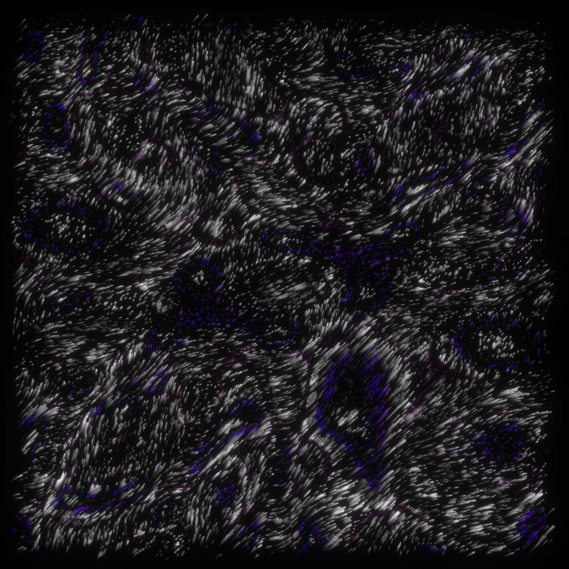 flow | meditations #314