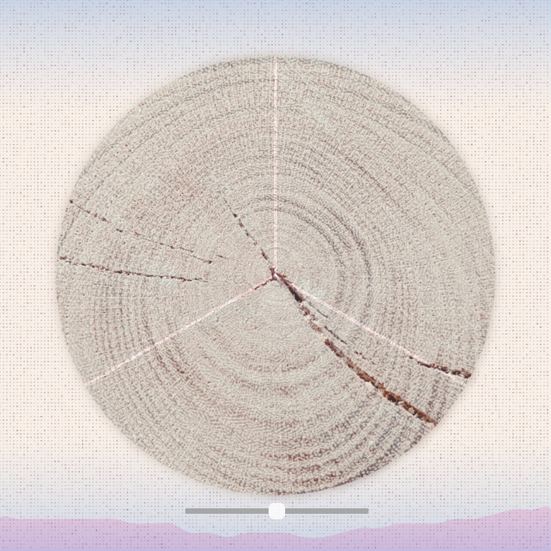 Tree ring waltz #5