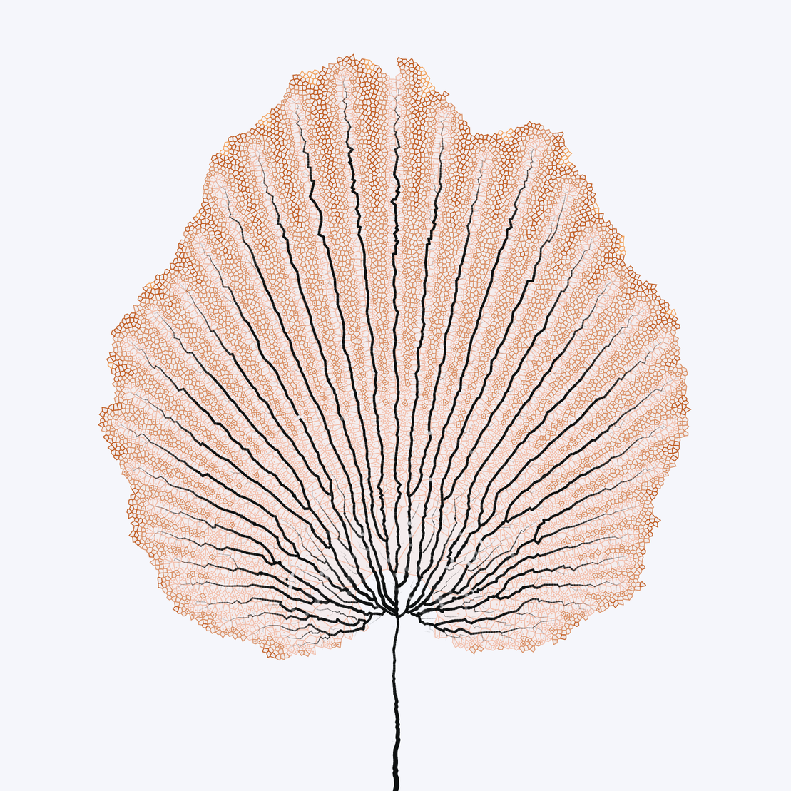 Leaf study #17