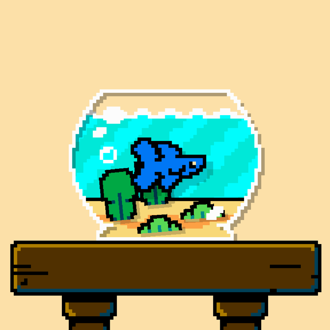 betta fish #47