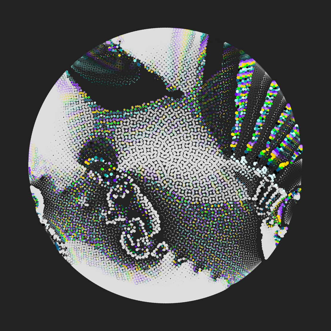 Still C #18647