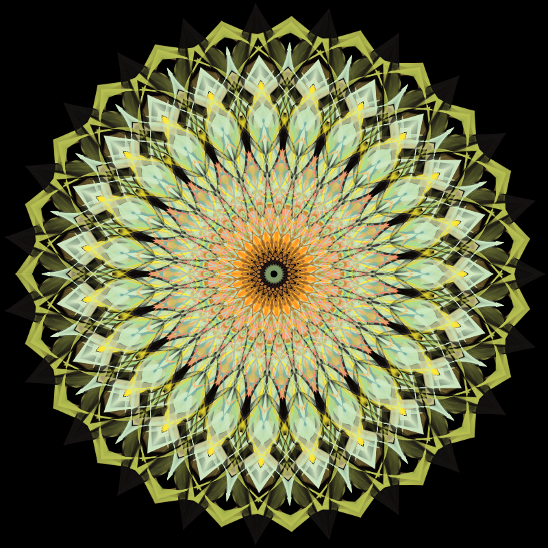 Morphing Mandala - #fxhashturnsone charity #42