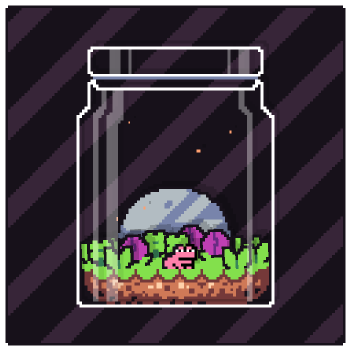 Toad Terrarium #198