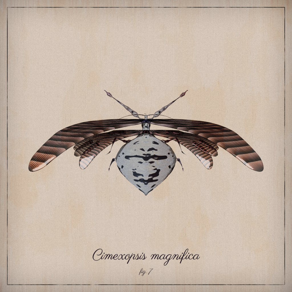 ProcGen Entomology #222