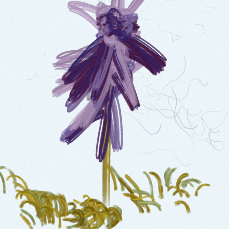 The Likeness of a Flower #171