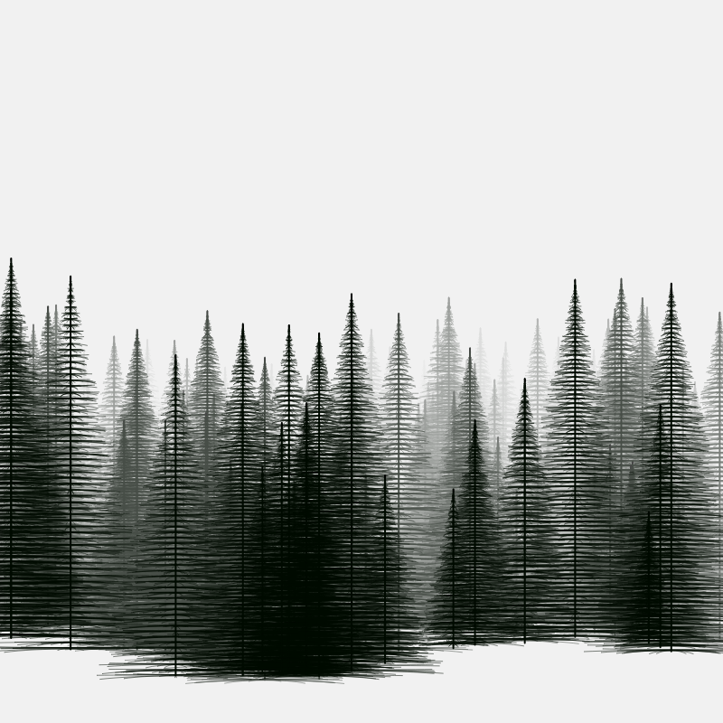 Pine trees in the cold #18