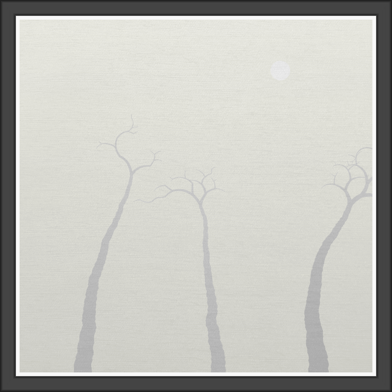 The Foggy Trees #84