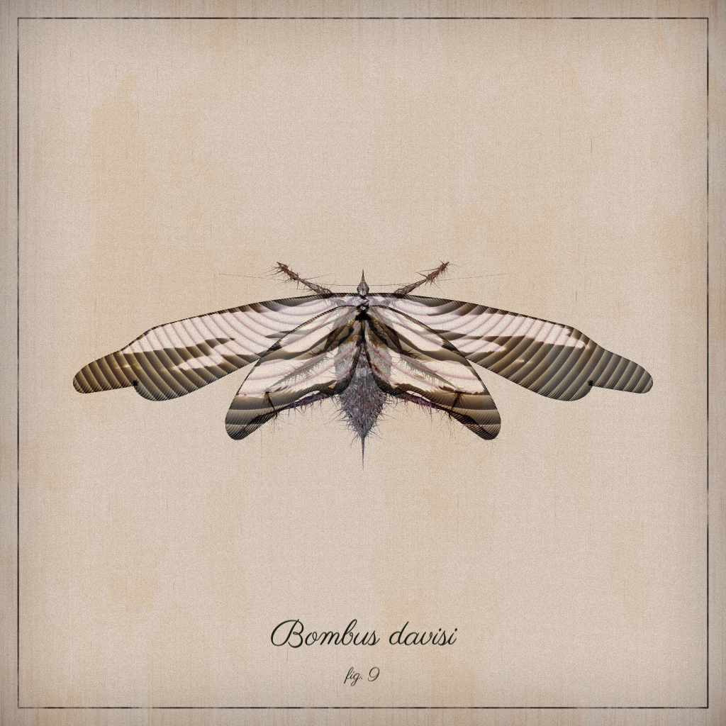 ProcGen Entomology #212
