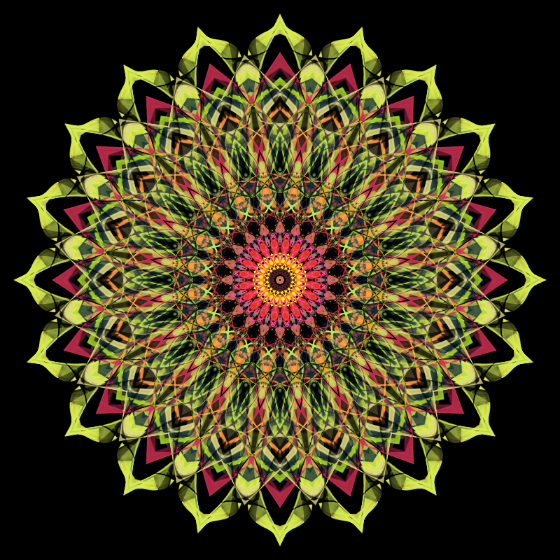 Morphing Mandala - #fxhashturnsone charity