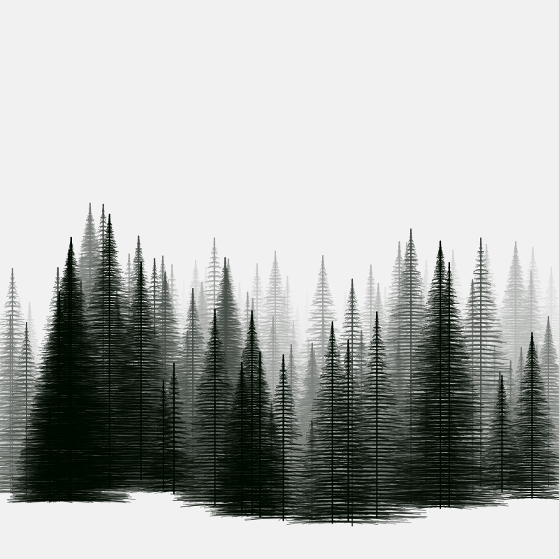 Pine trees in the cold #19