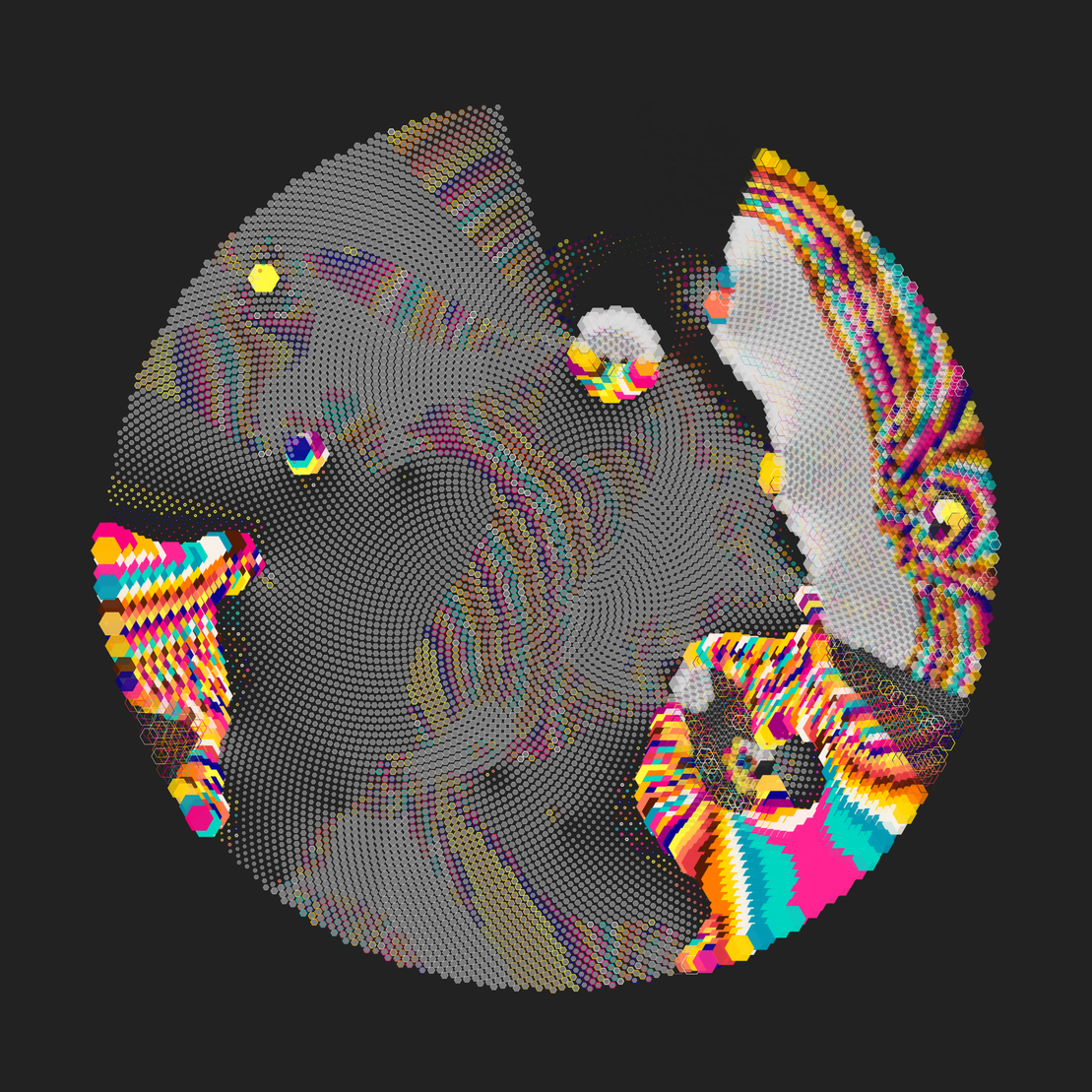 Still C #267