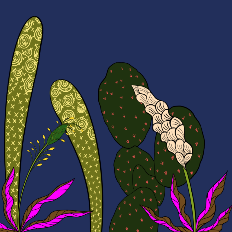 Desert Exuberance #23