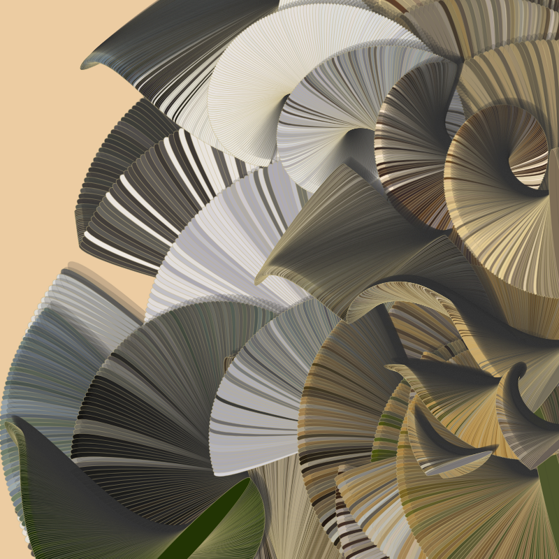 Seashells #40