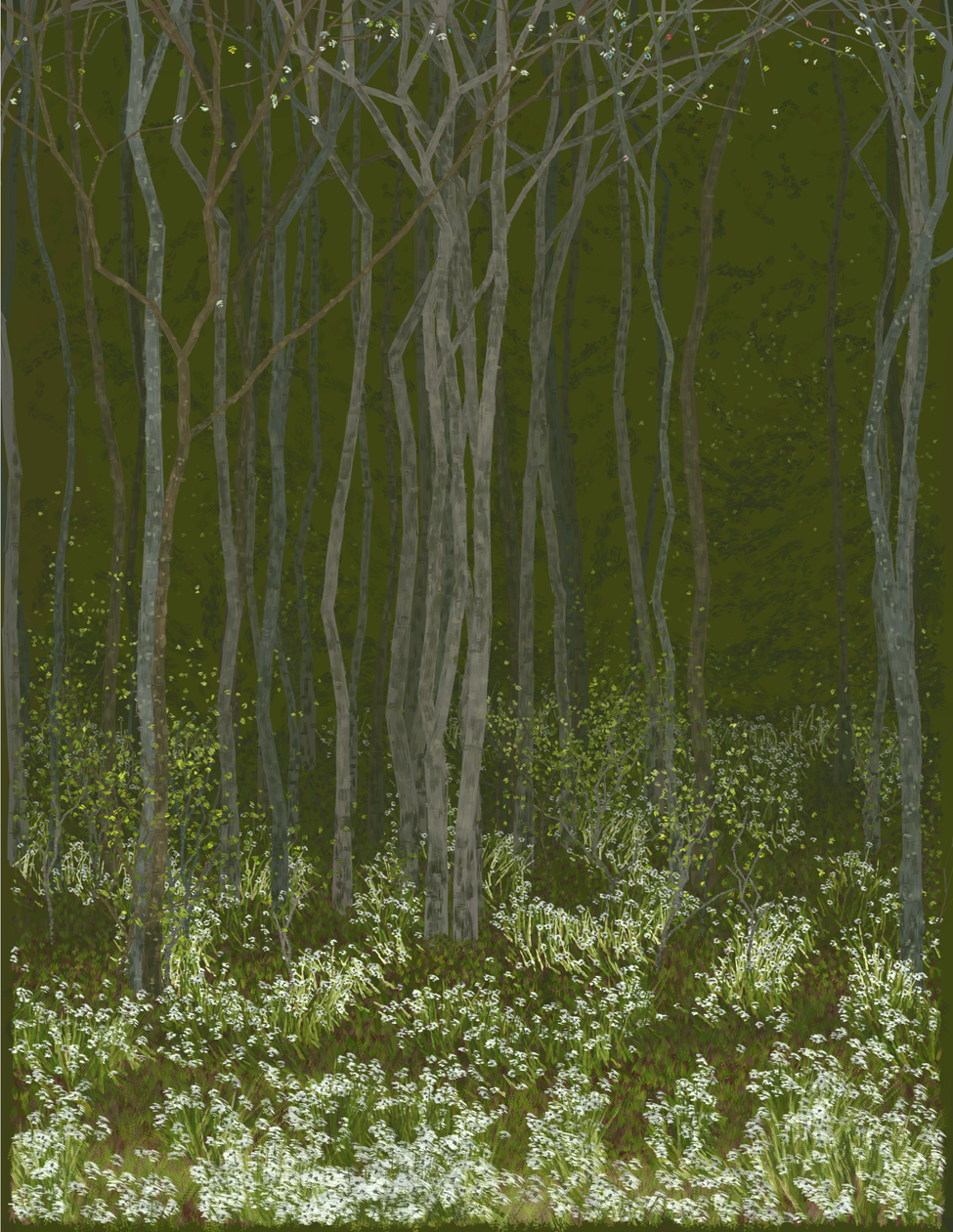 Deep Forest #349