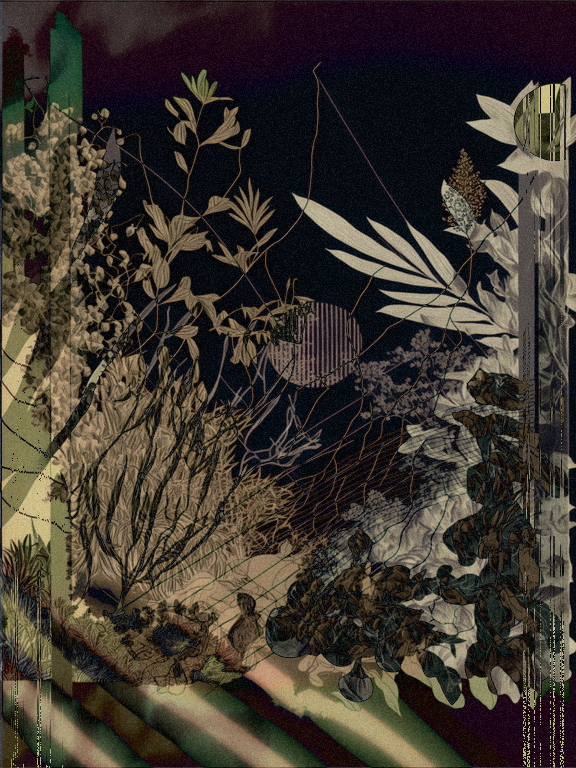 Wild Palms #177