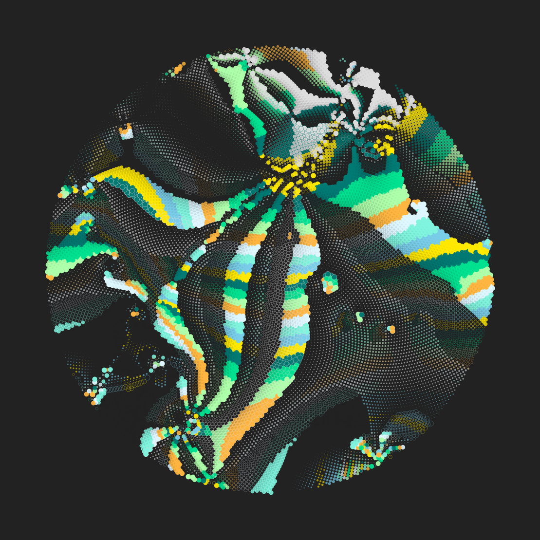 Still C #23073