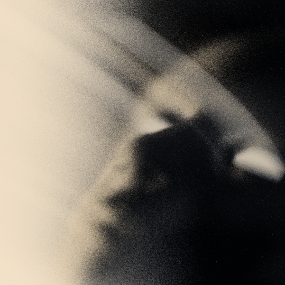 Emotional Shell #490