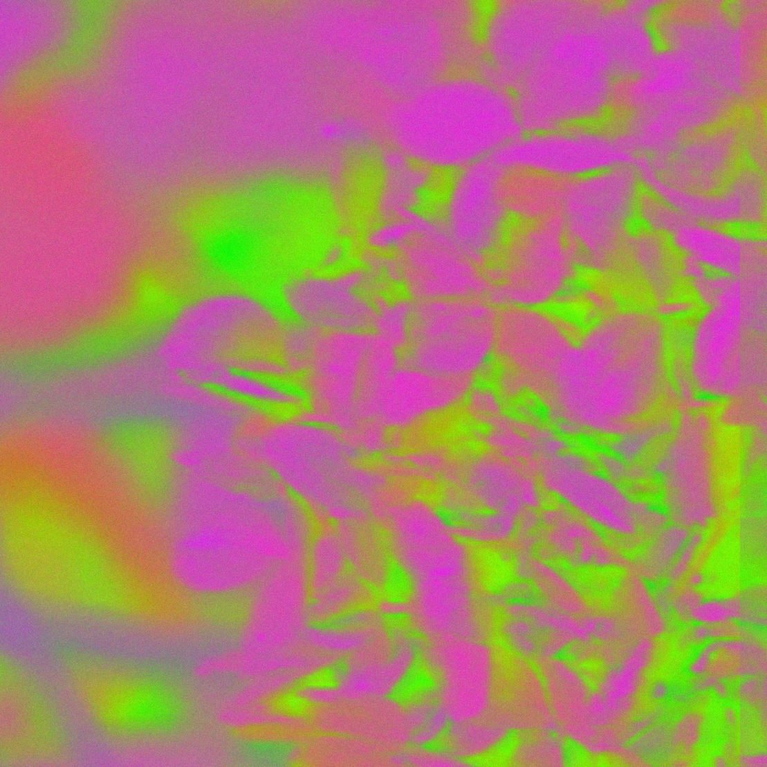 WHISPERS (in code) #199