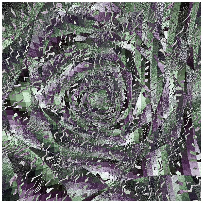 rosette #95