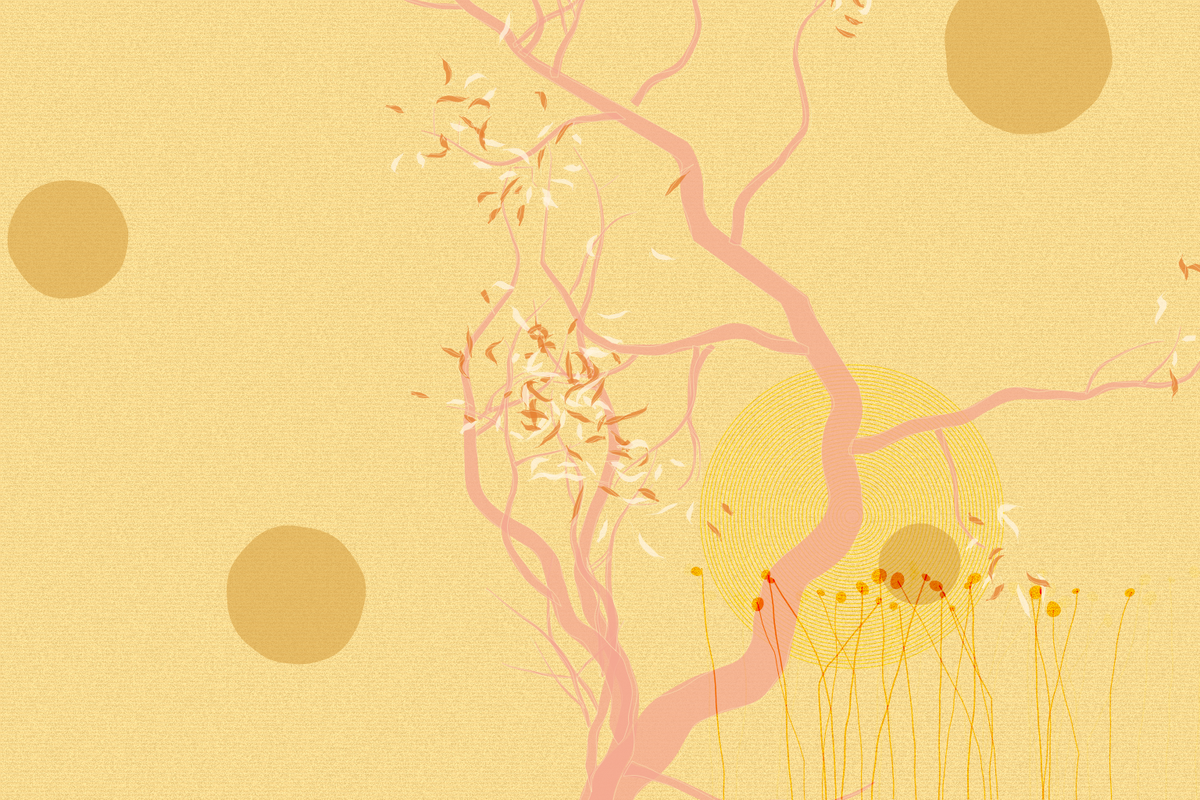 Bidaniel Tree #58