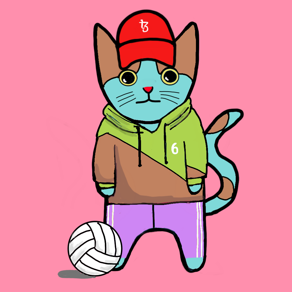 Sports cat #1