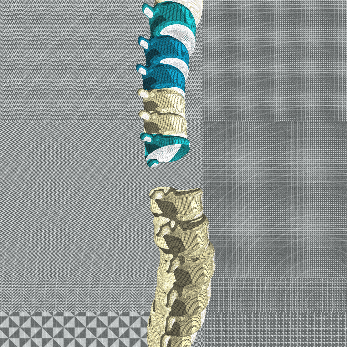 Long, Thin, Tubular Structure #155