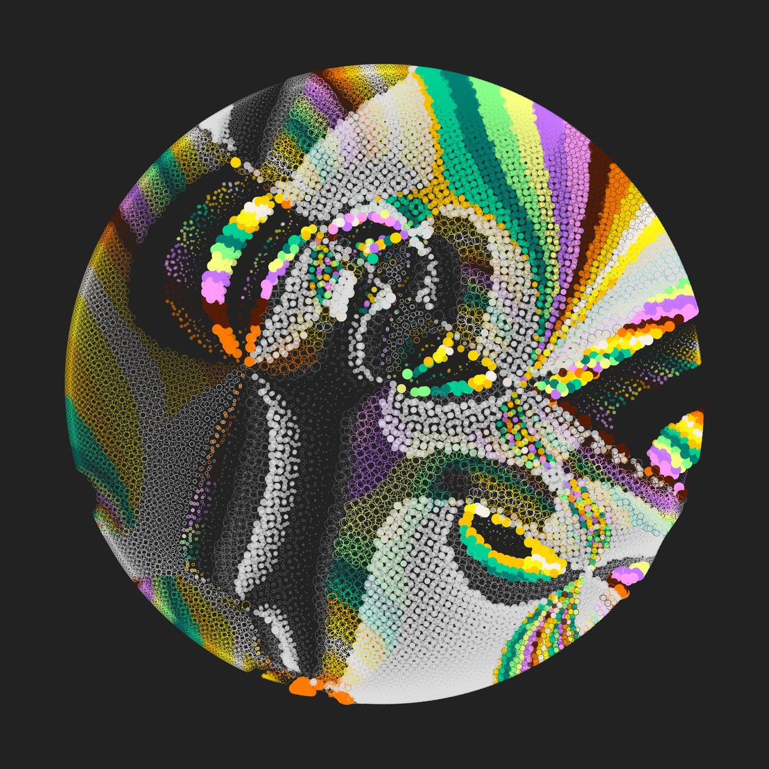 Still C #28658