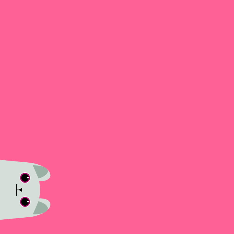 Where is the cat? #26