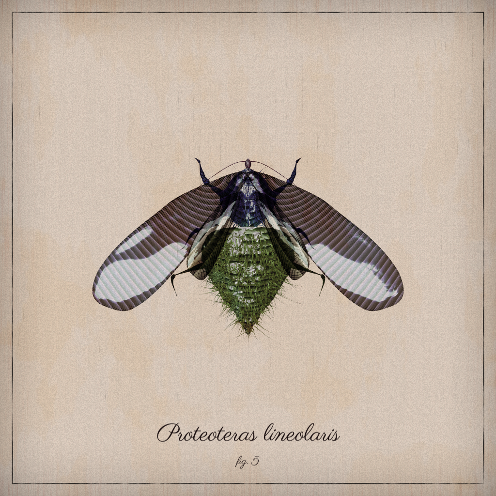 ProcGen Entomology #55