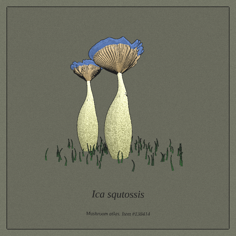 Mushroom Atlas #7