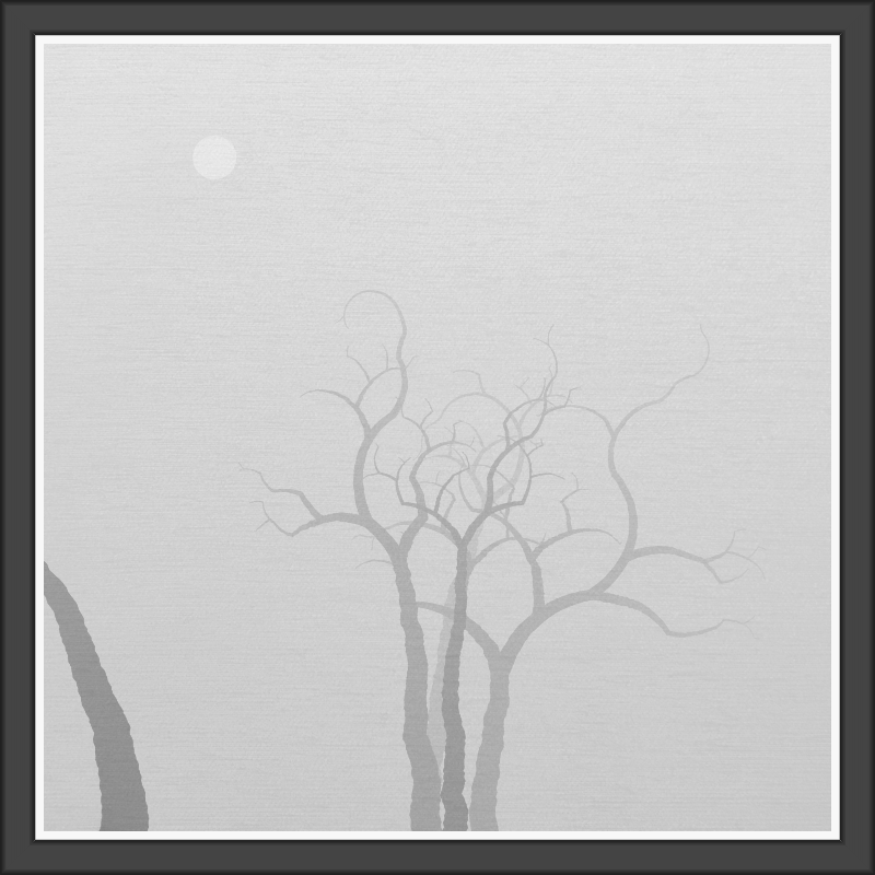 The Foggy Trees #17