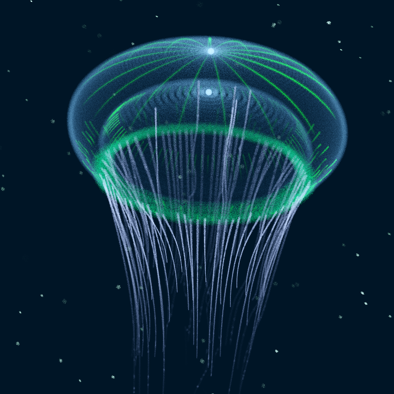 Creatures of the Deep #1 - The Jellyfish #21