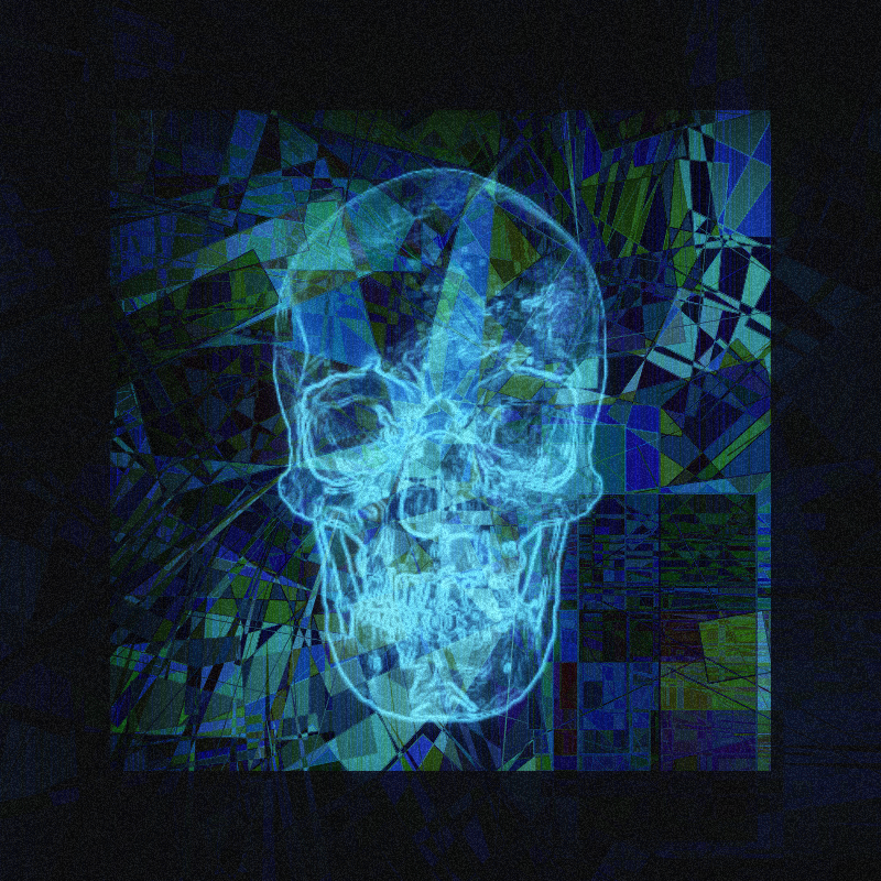 X-ray of a skull #6