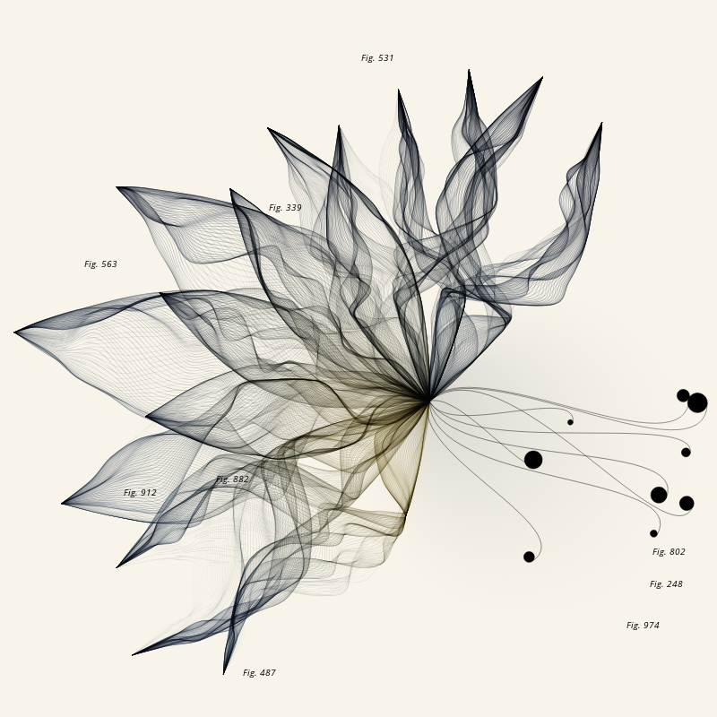 Herbarium #1117